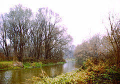 Rezerwat przyrody Słonawy